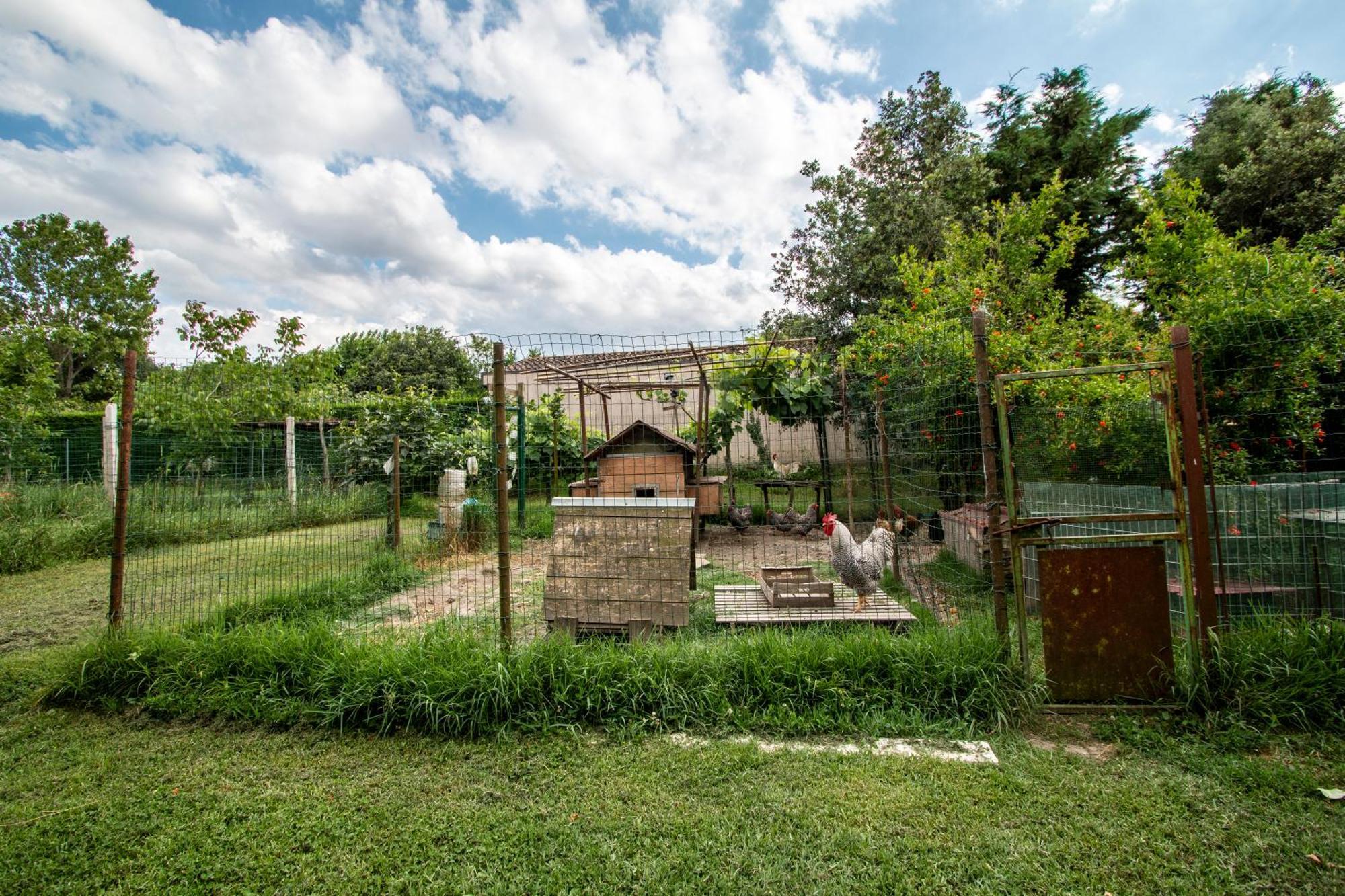 All'Ombra Del Bagolaro Taglio di Po Exterior foto